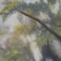 Arborescence - Huile sur toile - 40x40 cm - 2011